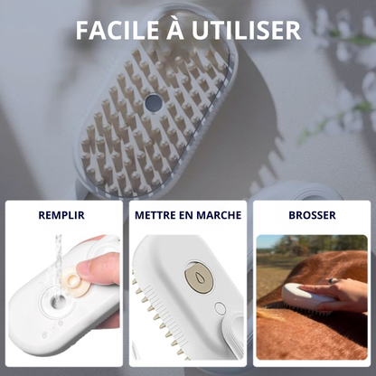 Brosse à vapeur RideBand™