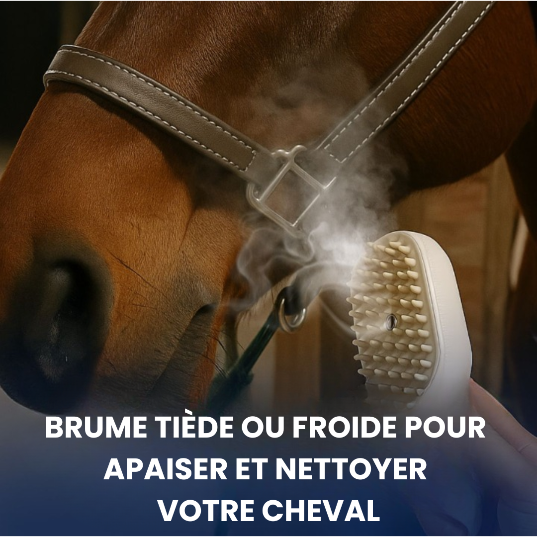 Brosse à vapeur RideBand™
