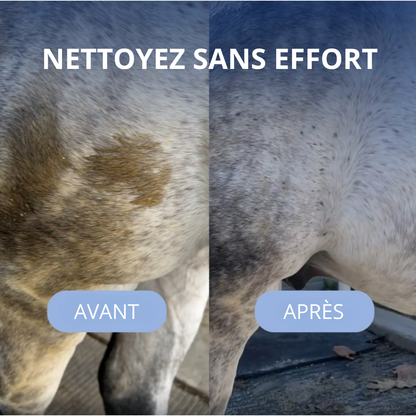 Brosse à vapeur RideBand™